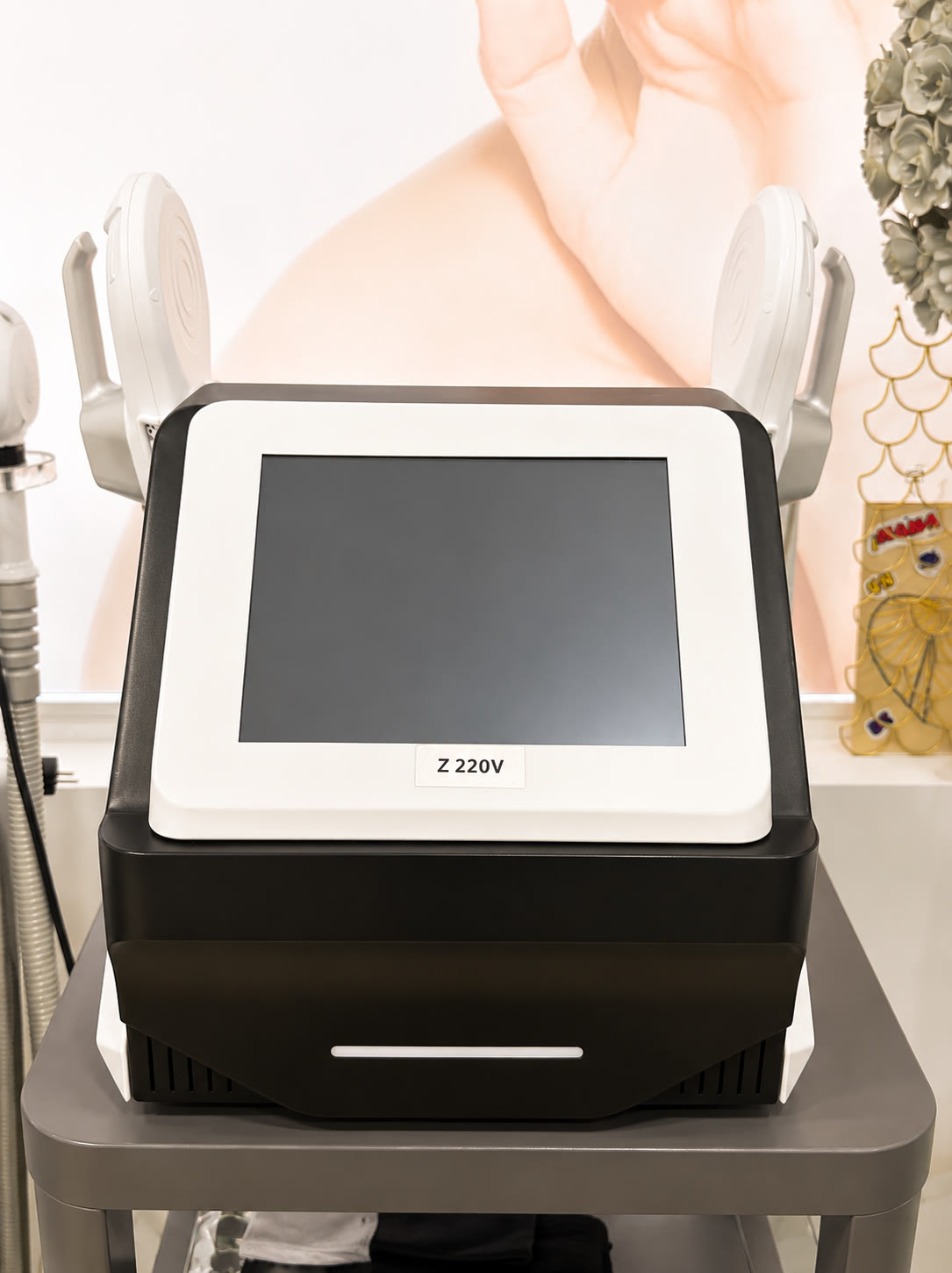 Z 220V